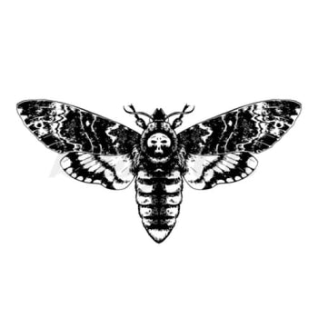 Death Face Moth - Temporary Tattoo