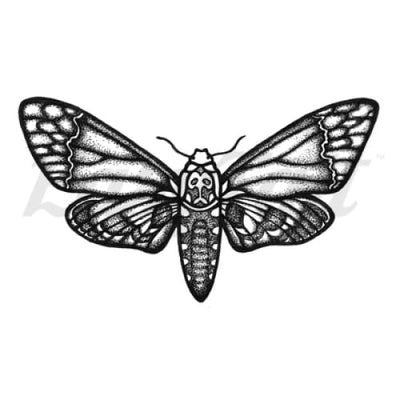 Death Moth Temporary Tattoo
