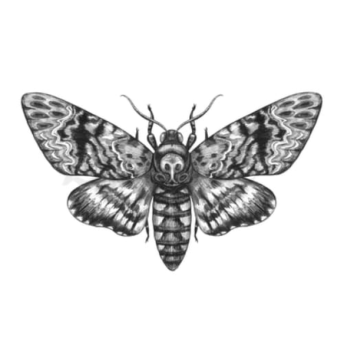 Death Moth Temporary Tattoo | EasyTatt™