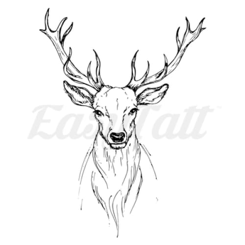 Deer Sketch - Temporary Tattoo