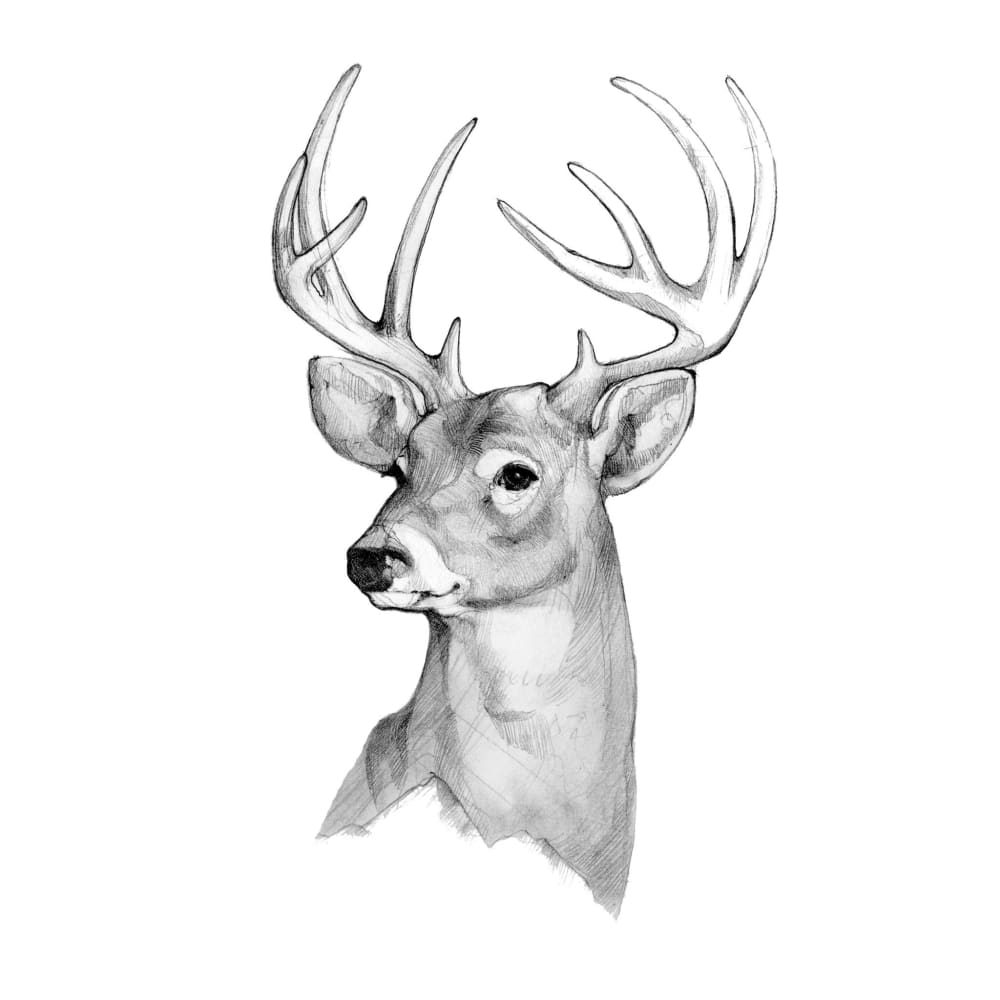 Deer - Temporary Tattoo
