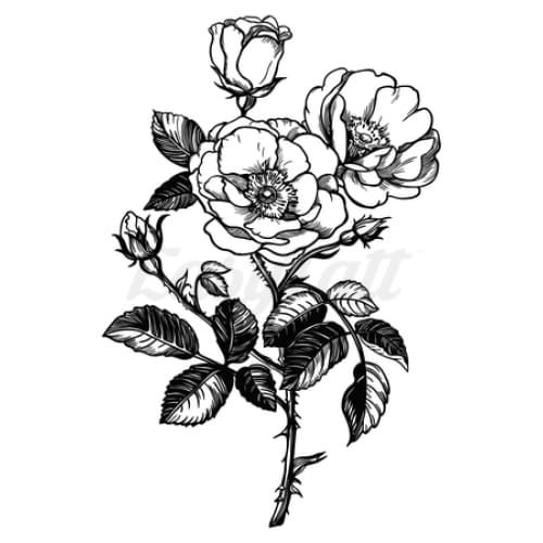 Dog Roses and Buds - Temporary Tattoo