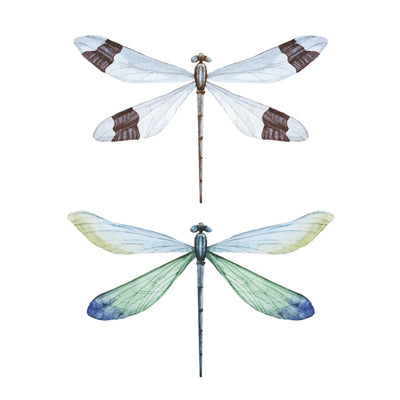 Dragon Flies - Temporary Tattoo