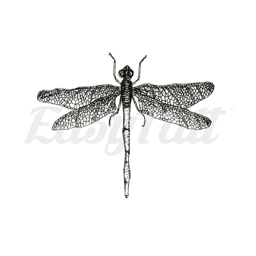 Dragonfly - By C.kritzelt - Temporary Tattoo