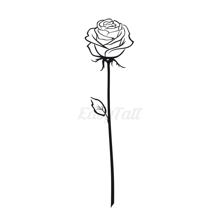 Drawn Stemmed Rose - Temporary Tattoo