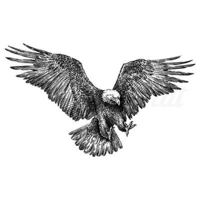 Eagle Attacking - Temporary Tattoo