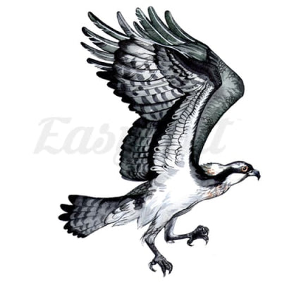 Eagle Takeoff - Temporary Tattoo