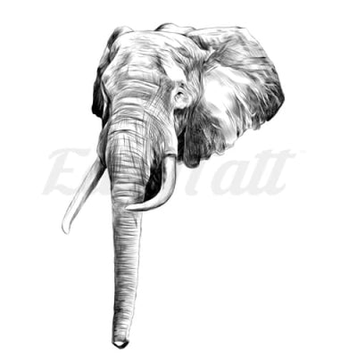 Elephant Head - Temporary Tattoo