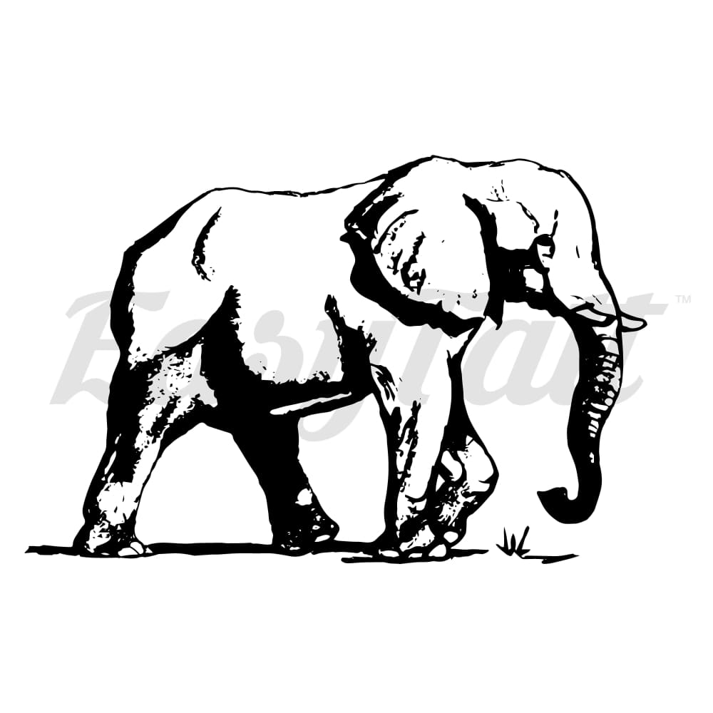 Elephant - Temporary Tattoo