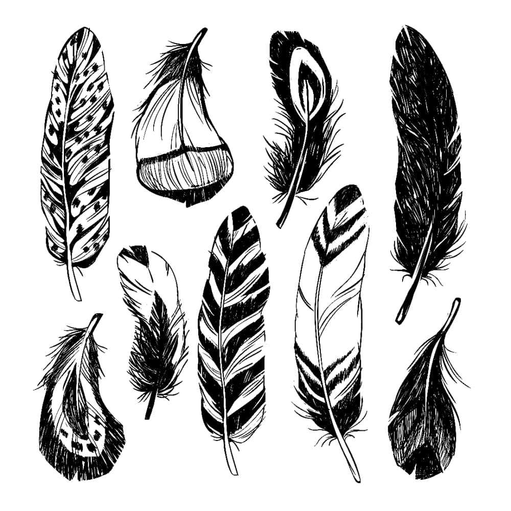 Feathers Set - Temporary Tattoo
