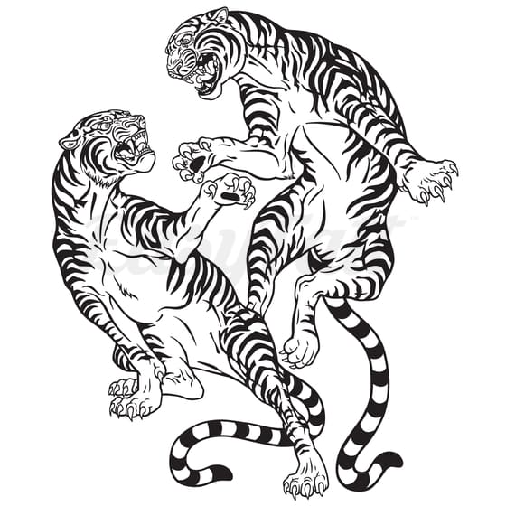 Fighting Tigers - Temporary Tattoo