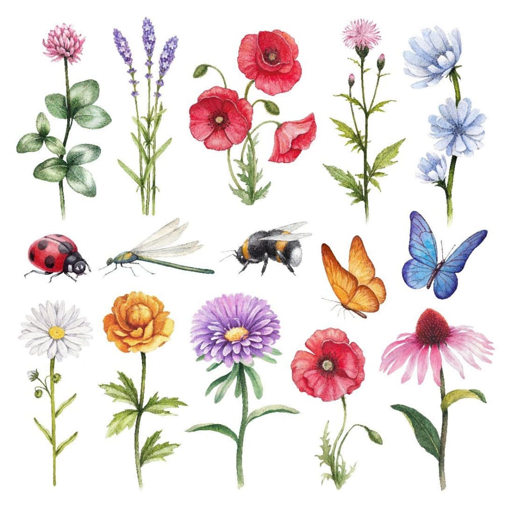 Flowers & Insects Set - Temporary Tattoo