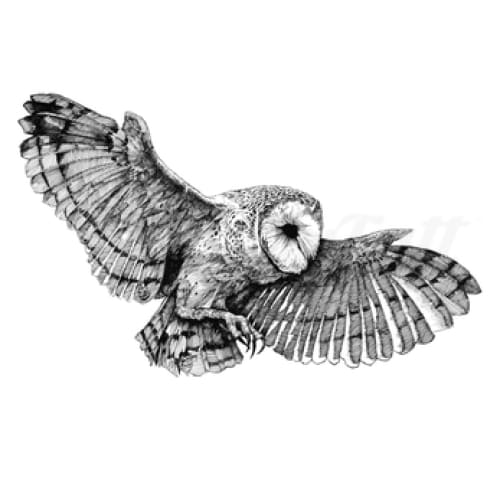 Flying Owl - Temporary Tattoo