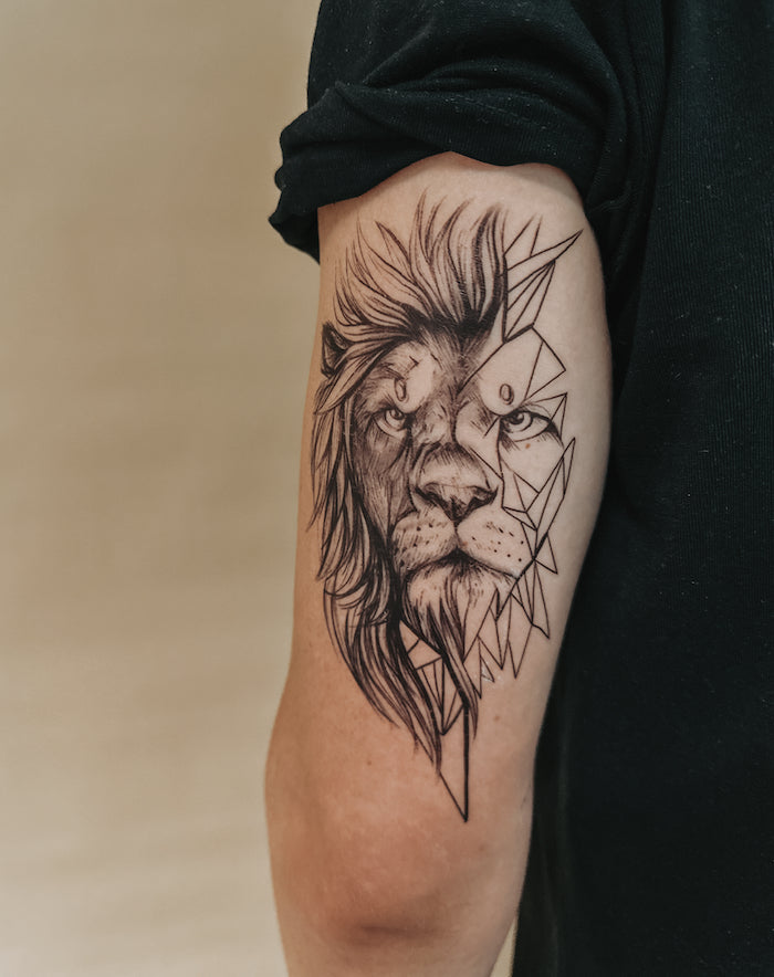 Geometric Lion