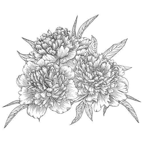 Greyscale Roses - Temporary Tattoo