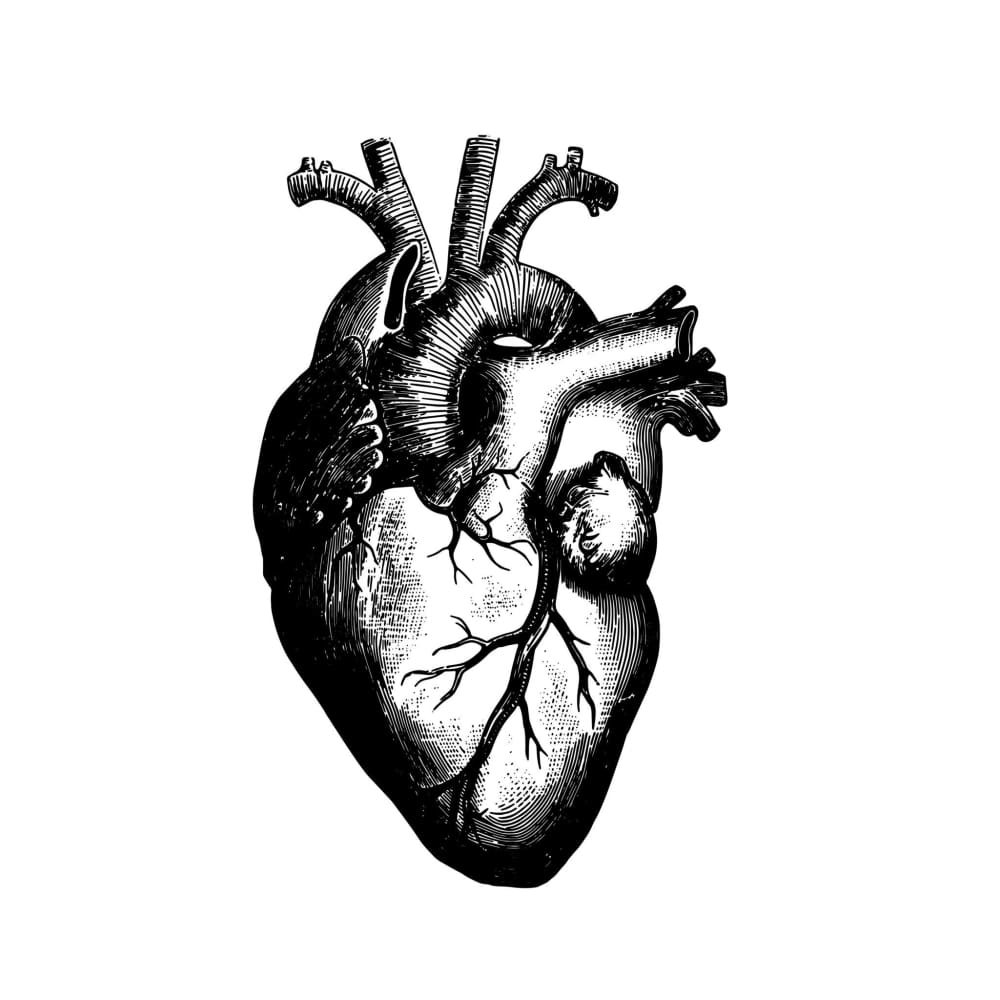Heart - Temporary Tattoo