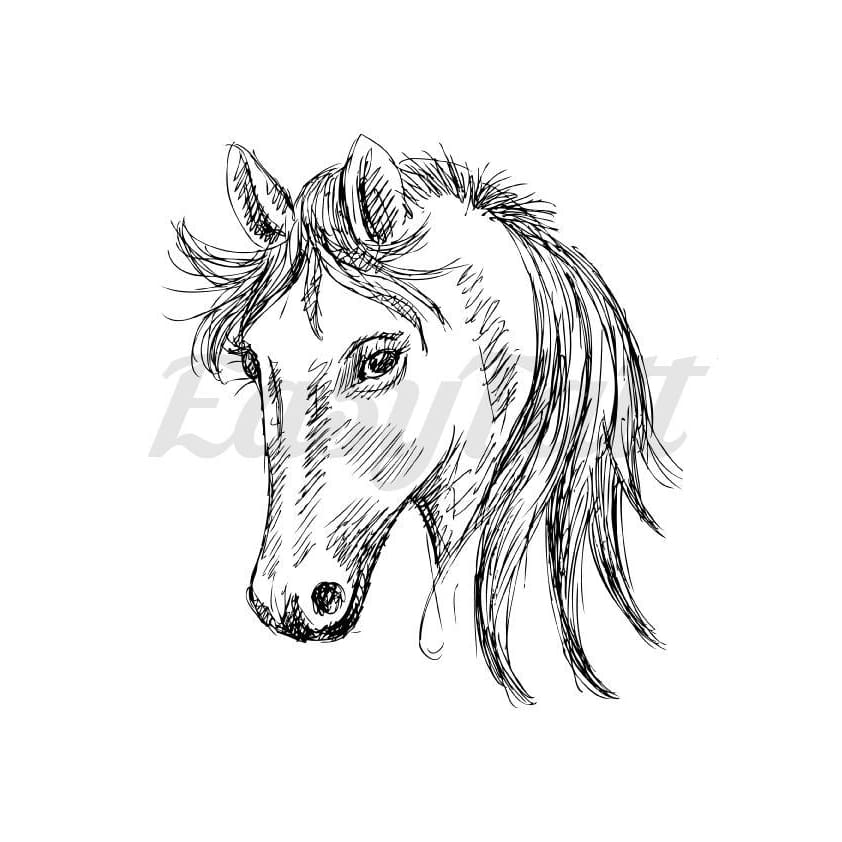 Horse Sketch - Temporary Tattoo