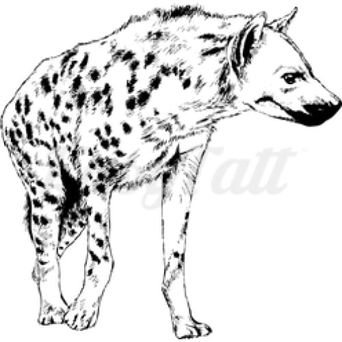 Hyena - Temporary Tattoo