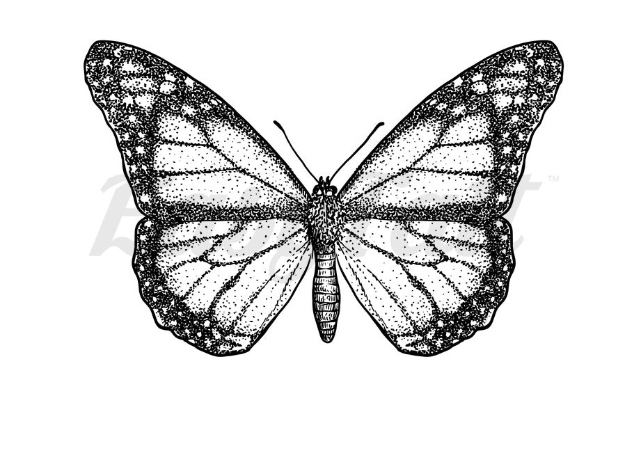 Dot work Butterfly