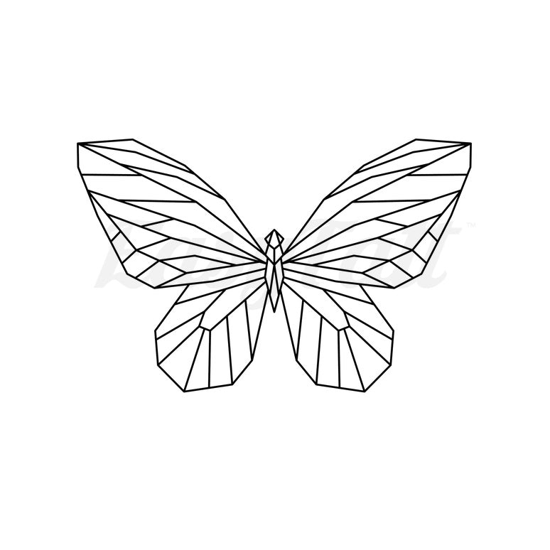 Geometric Butterfly