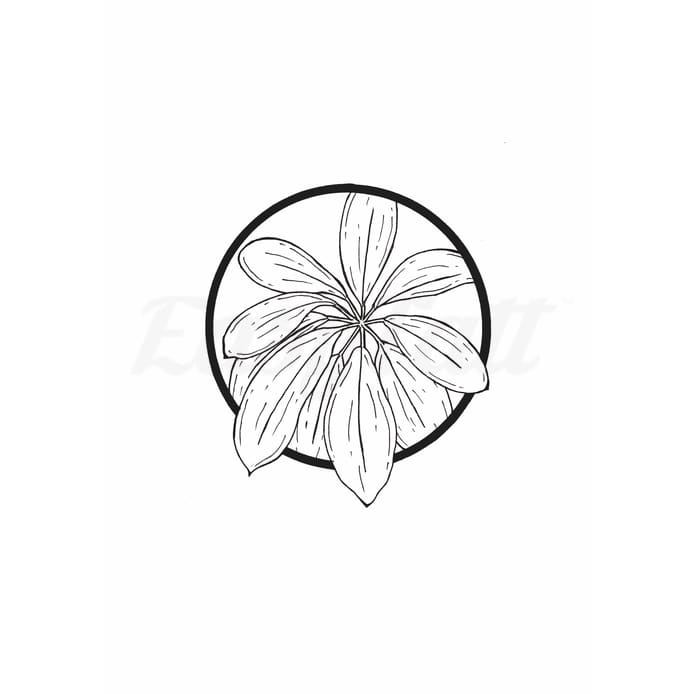 Leaf Circle - Temporary Tattoo