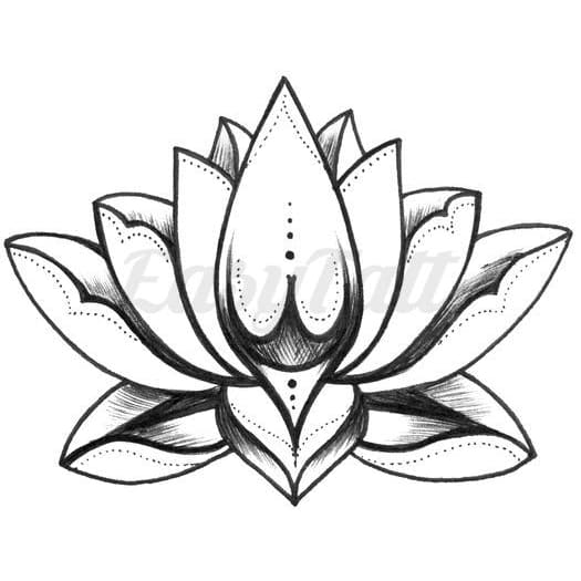 Lotus Flower - Temporary Tattoo