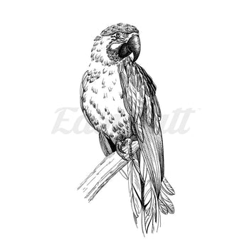 Macaw - Temporary Tattoo