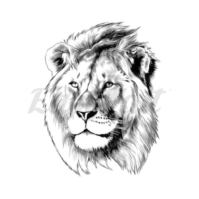 Male Lion Head