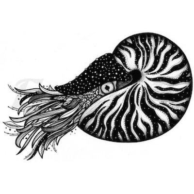 Nautilus - By Strat.Lacy.Art - Temporary Tattoo