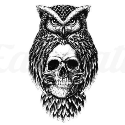 Owl and Skull - Temporary Tattoo