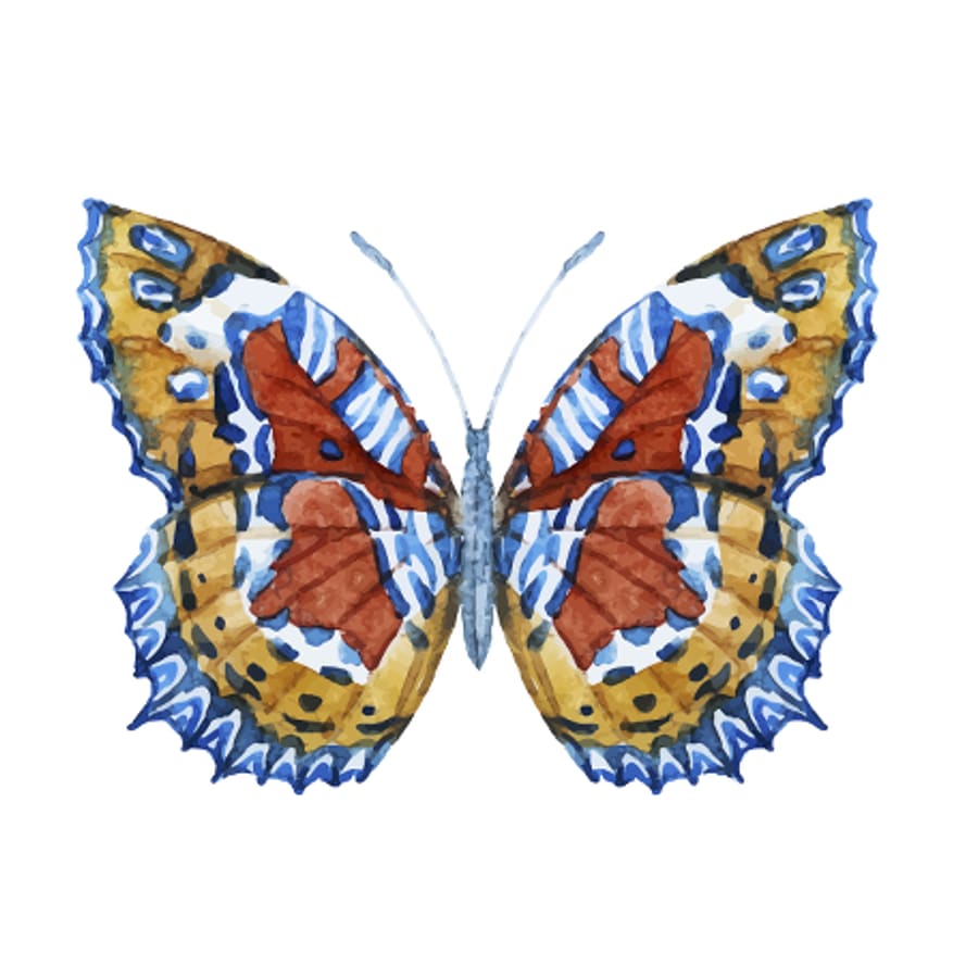 Pattern Butterfly - Temporary Tattoo