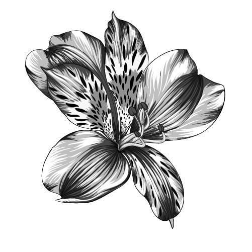 Patterned Flower - Temporary Tattoo