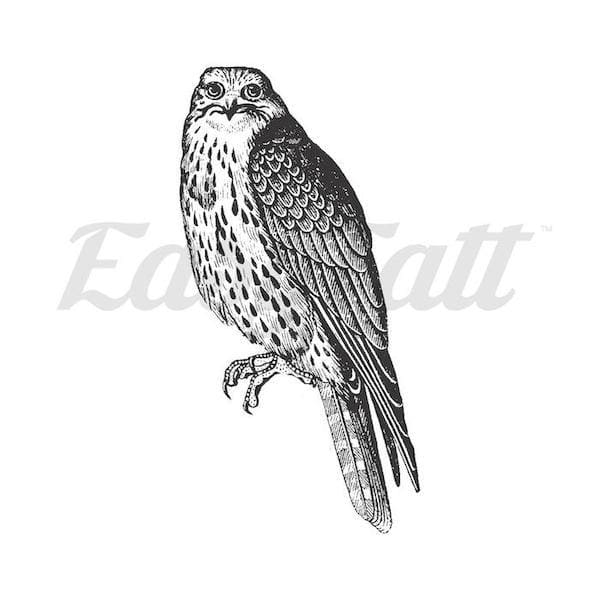 Peregrine Falcon - Temporary Tattoo