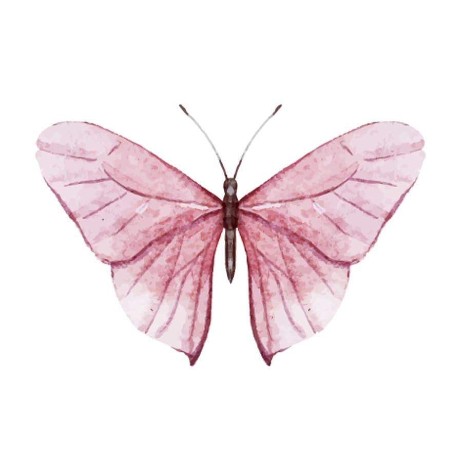 Pink Butterfly - Temporary Tattoo
