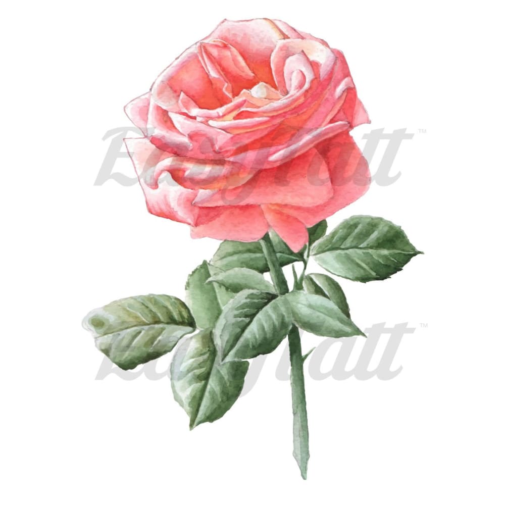 Pink Watercolor Rose - Temporary Tattoo