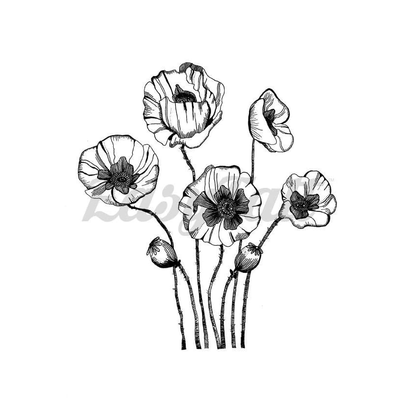 Poppies - By Mhairi Stella - Temporary Tattoo