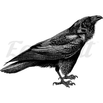 Raven - Temporary Tattoo