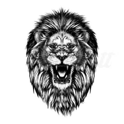 Roaring Lion - Temporary Tattoo