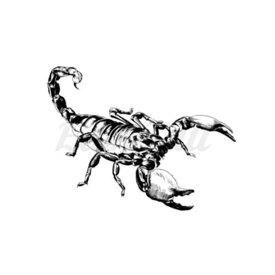 Scorpion - Temporary Tattoo
