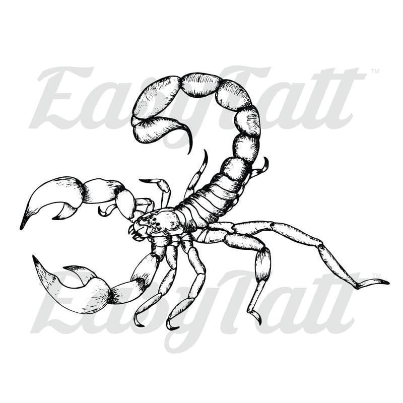 Scorpion - Temporary Tattoo