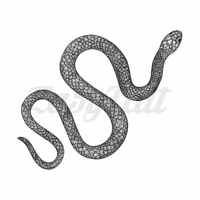 Serpent - Temporary Tattoo