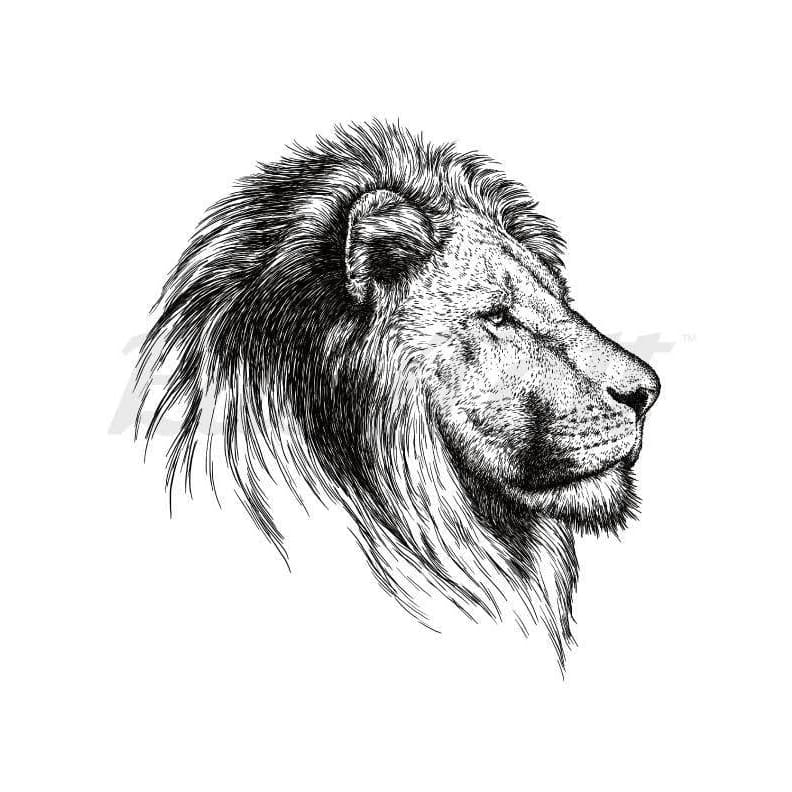 Side facing lion - Temporary Tattoo