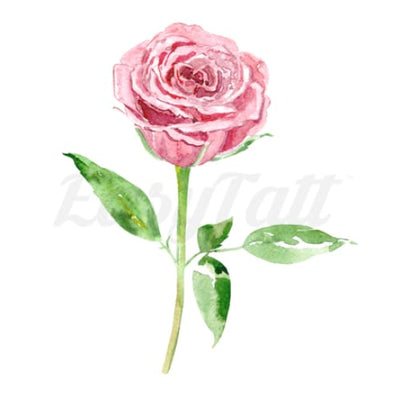 Stemmed Pink Rose - Temporary Tattoo