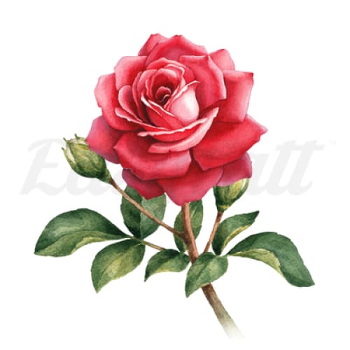 Stemmed Red Rose 2 - Temporary Tattoo
