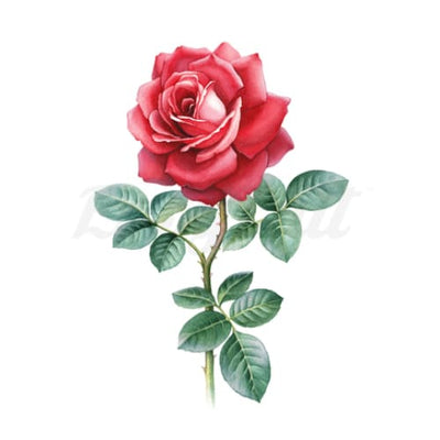 Stemmed Red Rose - Temporary Tattoo