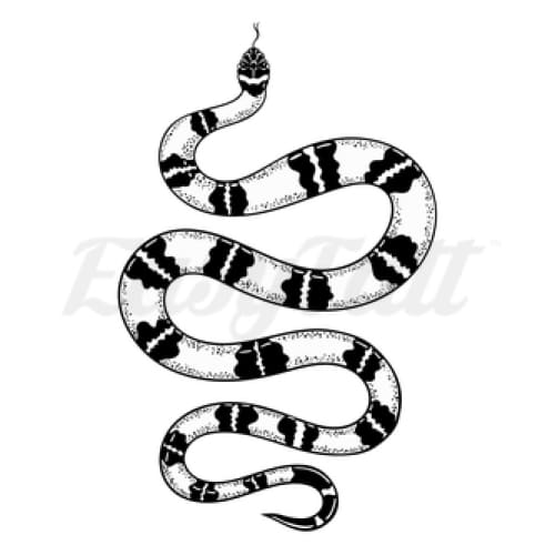 Striped Snake - Temporary Tattoo