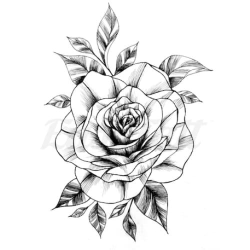 The Rose - Temporary Tattoo
