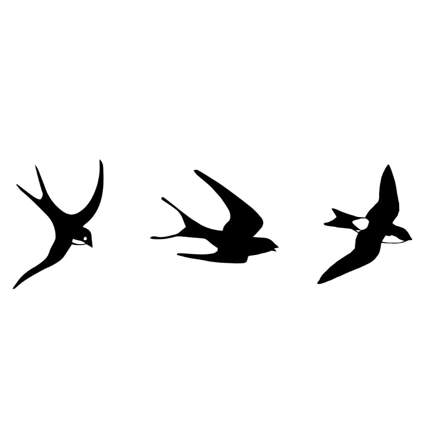 Three Birds - Temporary Tattoo