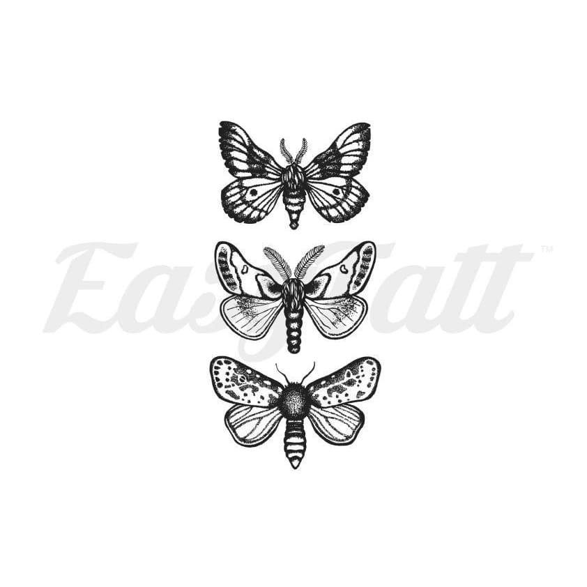 Three Moths - Temporary Tattoo