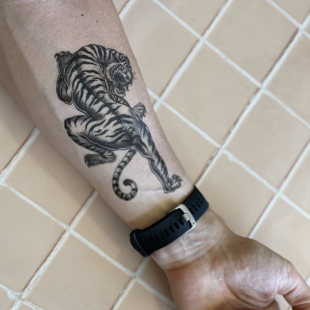 Tiger Crawl - Temporary Tattoo